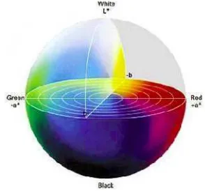 Gambar 15 Diagram warna Lab metode Hunter