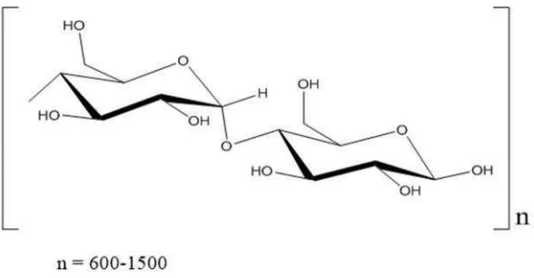 Gambar 2. Struktur α-selulosa (Yusuf, 2004).