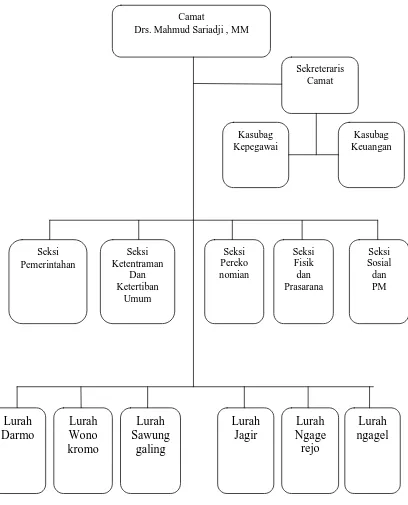 Gambar 7. Struktur Organisasi Kecamatan Wonokromo 