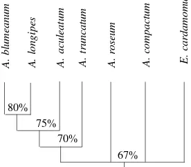 Figure 2.  Similarity  index of several organs of Amomum compactum basedon percentage of volatile oil components