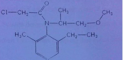 Gambar 3. Struktur kimia metolaklor 