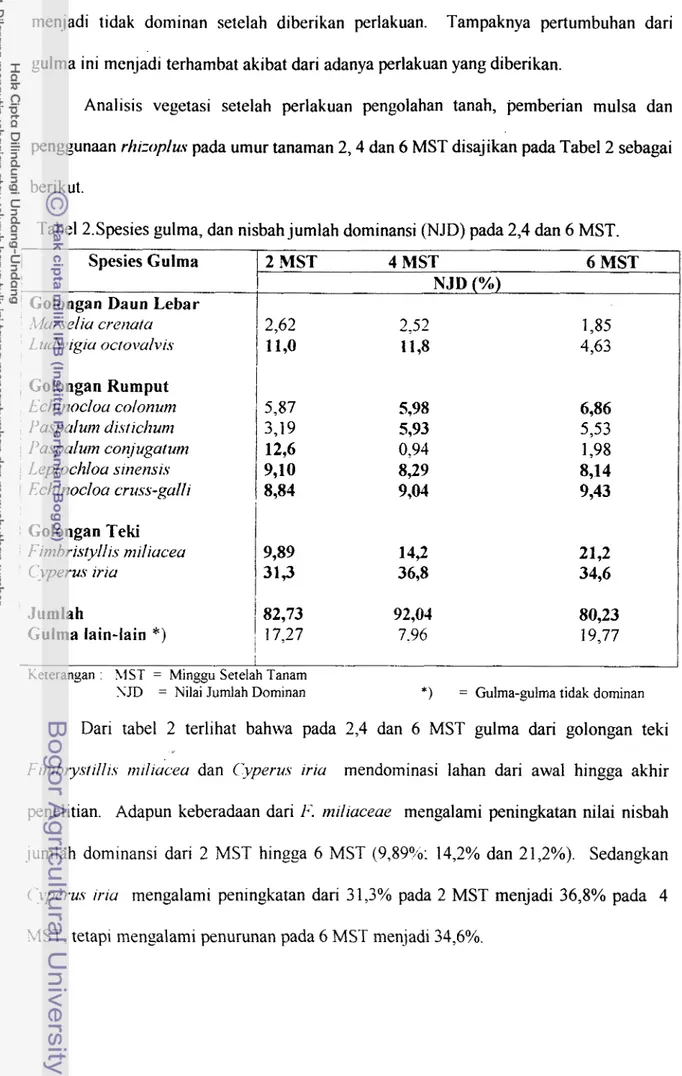 Tabel 2.Spesies gulma, dan nisbah jumlah dominansi (NJD) pada 2,4 dan 6 MST 