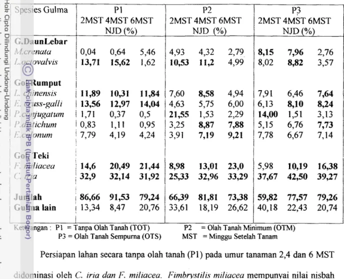Tabel 3.  Pengaruh persiapan  lahan (P) terhadap populasi gulma dominan  pada 2 , 4  dan  6  MST  I  Gol