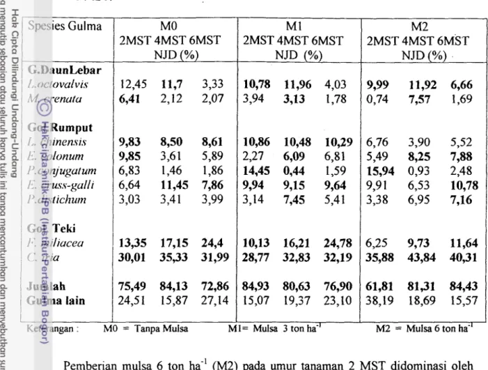 Tabel 4.  Pengaruh pemberian mulsa (M) terhadap populasi gulma dominan pada 2 , 4  dan  6 MST