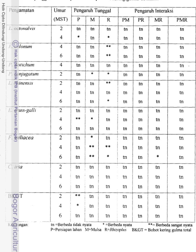 Tabel  6.  Rekapitulasi  analisis  ragam  pengaruh  sistem  persiapan  lahan,  mulsa  dan  penggunaan rlzizoplur; terhadap bobot kering gulma dominan 