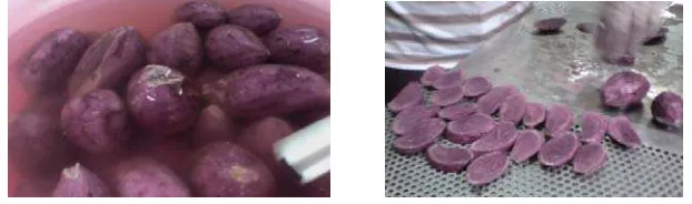 Gambar 9. Persiapan ubi jalar ungu 