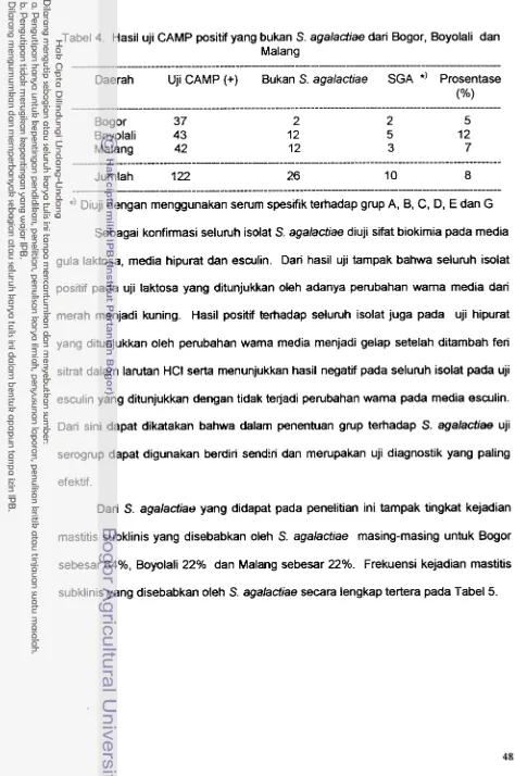 Tabel 4. Hasil uji CAMP positif yang bukan S. agalactiae dari Bogor, Boyolali dan 
