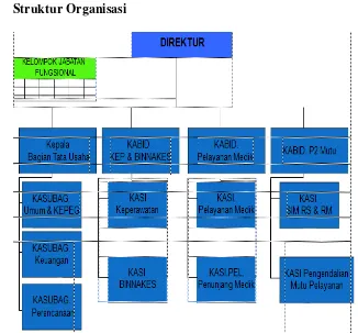 Gambar 4.1 Bagan Struktur Organisasi RSUD Praya 