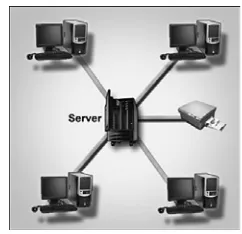 Gambar 3 Jaringan Client- Server (Anfinson 