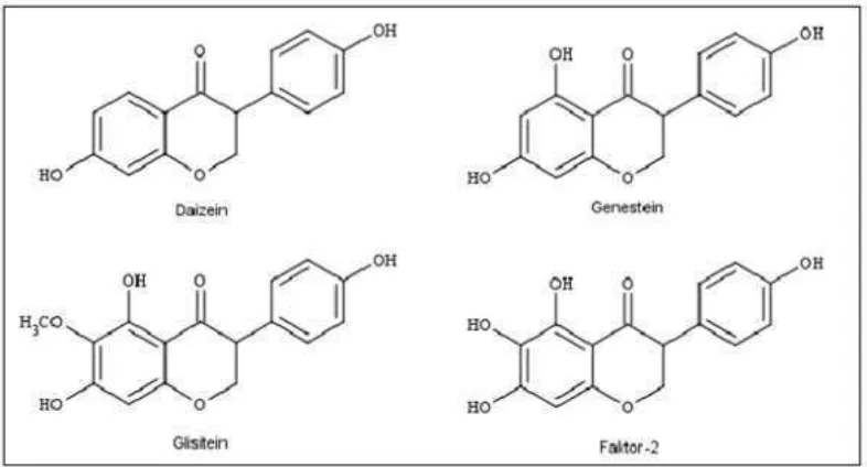 Gambar 1. Struktur senyawa isoflavon pada tempe 