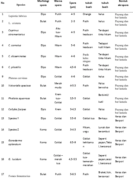 Tabel 1: Ciri-ciri Morfologi Jenis-Jenis Jamur Kelas Basidiomycetes di Kawasan Kampus Bukit Jimbaran Bali  