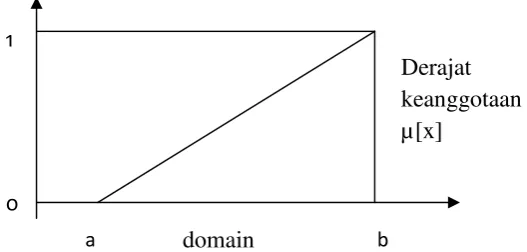 Gambar 2.1 Representasi Linear Naik