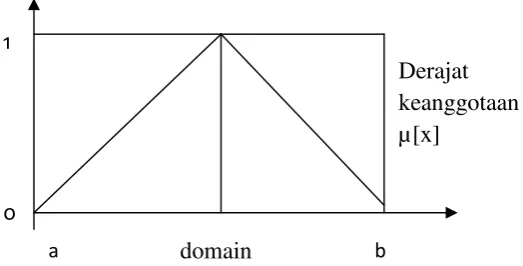 Gambar 2.3 Representasi Linear Segitiga