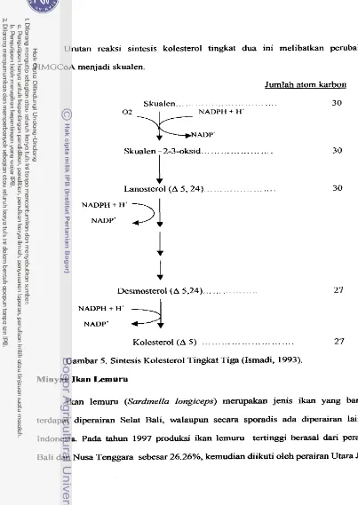 Gambar 5. Sintesis Kolesterol Tingkat Tiga (Ismadi, 1993). 