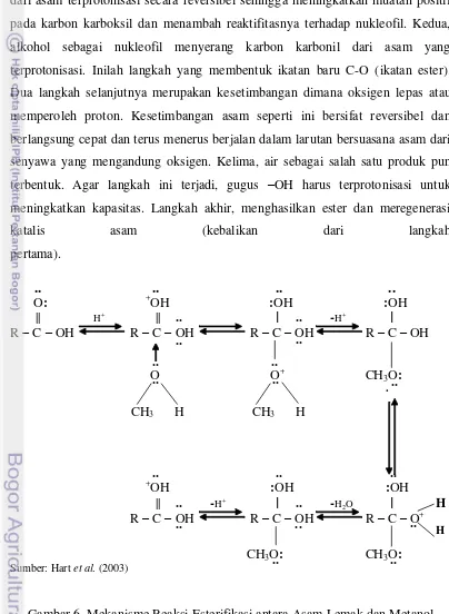 Gambar 6. Mekanisme Reaksi Esterifikasi antara Asam Lemak dan Metanol 