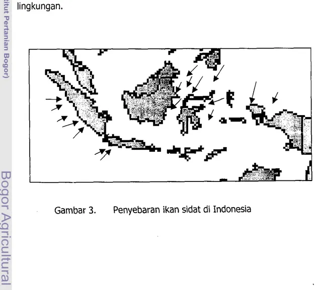 Gambar 3.  Penyebaran ikan sidat di Indonesia 