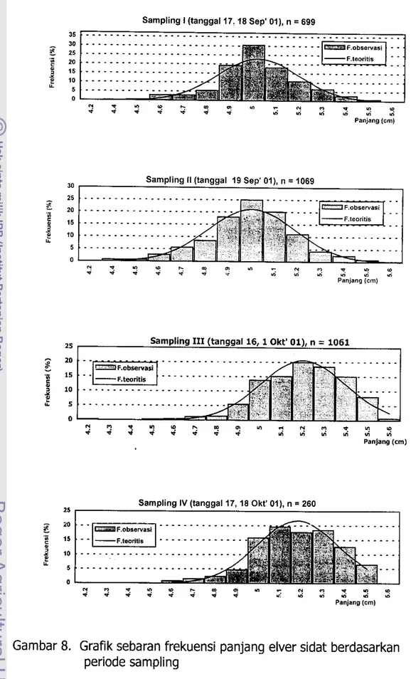 Gambar 8.  Grafik sebaran frekuensi panjang elver sidat berdasarkan  periode sampling 