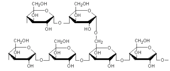 Gambar 3. Struktur kimia amilosa 