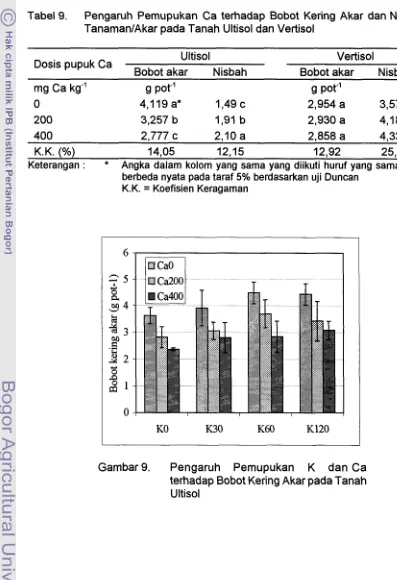 Tabel 9. Pengaruh Pemupukan Ca terhadap Bobot Kering Akar dan Nisbah 