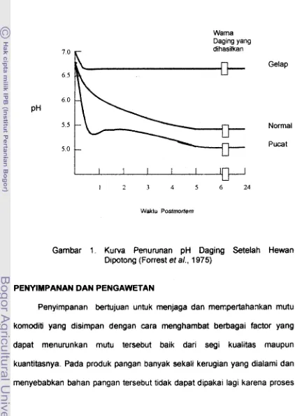 Gambar 1. Kurva Penurunan pH Daging Setelah Hewan 