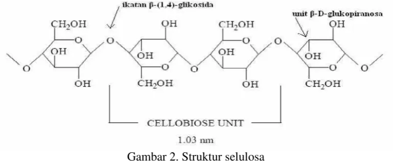 Gambar 2. Struktur selulosa