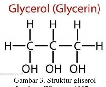 Gambar 3. Struktur gliserol