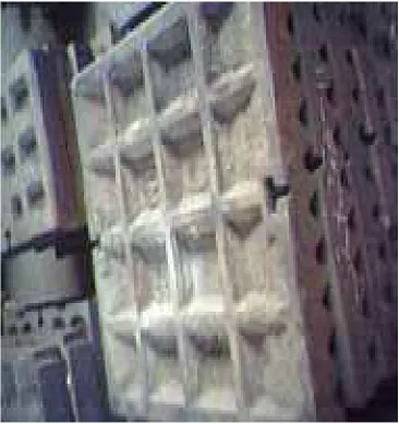 Gambar 1.1 Jaw Plates (12-14% Mn) 
