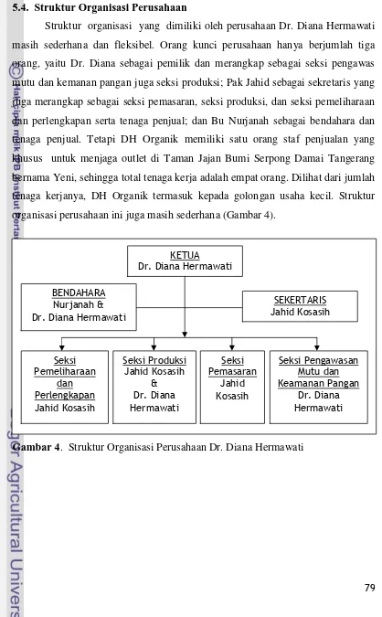 Gambar 4.  Struktur Organisasi Perusahaan Dr. Diana Hermawati 