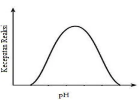 Gambar 2. Hubungan kecepatan reaksi dengan pH (Winarno, 1989).