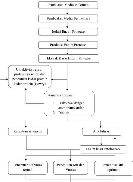 Gambar 9. Diagram alir penelitian