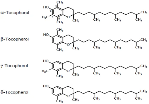 Gambar 2.8. Struktur Kimia dari Vitamin E (Smolarek dan Suh, 2011) 