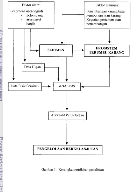 Gambar 1. Kerangka pemikiran penelitian 