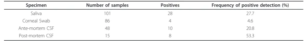 Figure 3 Positive detection of rabies nucleoprotein from CSF samples following one-step RT-PCR(Invitrogen)