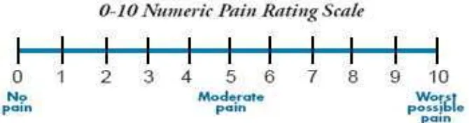 Gambar 5. Numerical Rating Scale (NRS) 