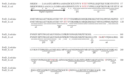 Fig 5 Sequence alignment between putative PotD protein fromAcc. number M 64519.1 Based on Sugiyamaet al.*:(1996)the active residue which binds to spermidine are indicated by grey boxes