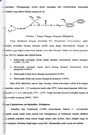 Gambar I .  Rumus Bangun Senyawa Bifenthrin 