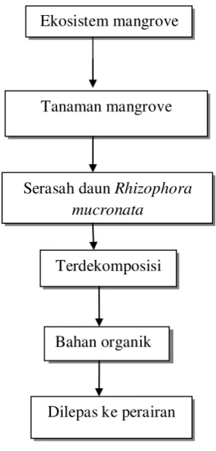 Gambar1. Kerangka pemikiran penelitian 