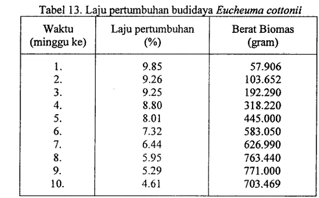 Tabel 1 3, Laju pertumbuhm budidaya Eucheuma cottonii 