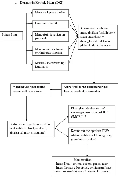 Gambar 1. Patogenesis Dermatitis Kontak Iritan (Sularsito SA &Djuanda S, 2009). 