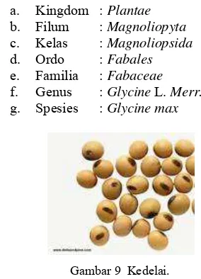 Gambar 9  Kedelai. 