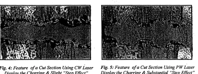 Fig. 5: Feature ofa Cut Section Using PW Laser Display the Charring & Substantial "Step Effect" 