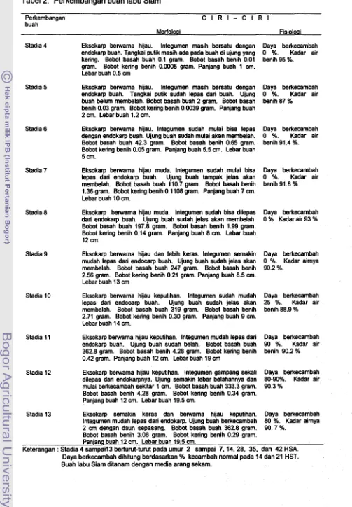 Tabel 2. Perkembangan buah labu Siam 