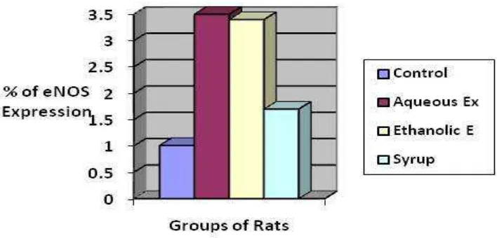 Figure  2. Comparison of eNOS expression between 4 groups of rats  