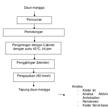 Gambar 3. Diagram alir proses pembuatan tepung daun mangga. 