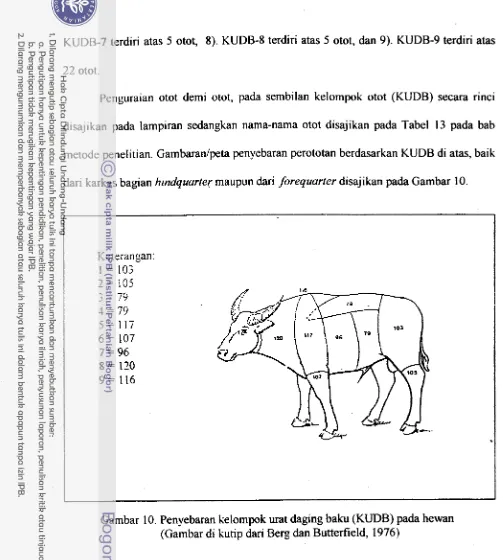 Gambar 10. Penyebaran kelompok urat daging baku (KUDB) pada hewan 