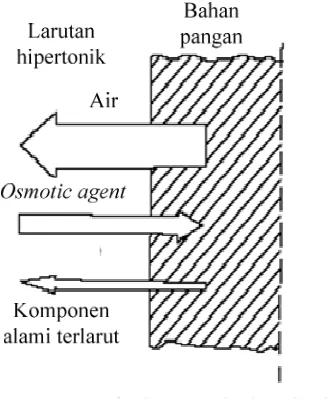 Gambar 2  Simulasi peristiwa pengeringan osmotik bertingkat (Lewicki & Lenart 2006). 