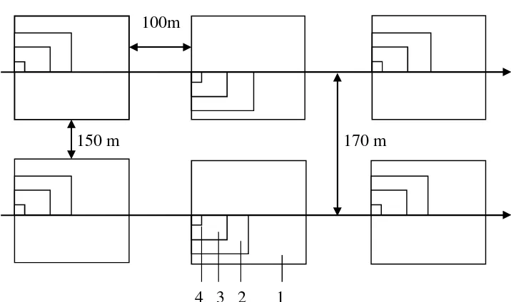 Gambar 2. Desain petak contoh menggunakan metode garis berpetak yangdigunakan dalam penelitian.