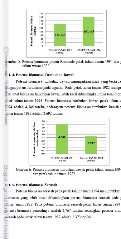 Gambar 5. Potensi biomassa pohon Rasamala petak tahun tanam 1994 dan petak 
