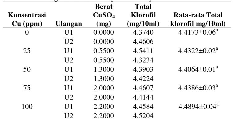 Tabel 4. Data tingkat kadar klorofil pada daun suji 