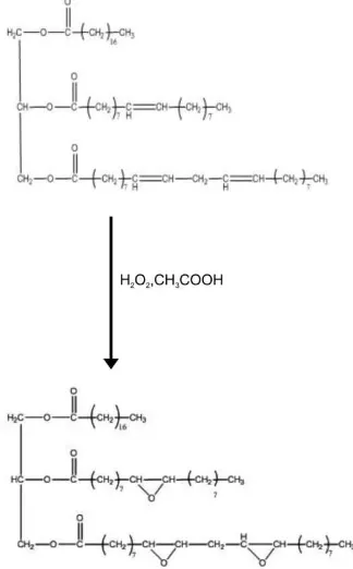 Gambar 8 Reaksi epoksidasi minyak jarak pagar. 